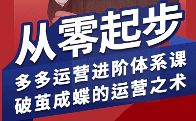 拼多多运营进阶系统课，从零起步，多多运营进阶体系课，破茧成蝶的运营之术（更新26年4月）-优创云